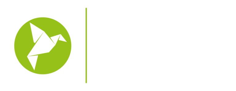Logo Hillstar Media