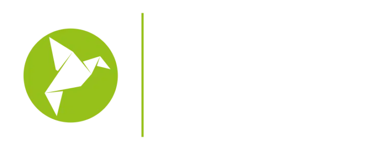 Logo Hillstar Media